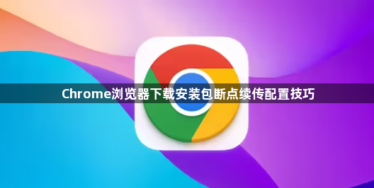 Chrome浏览器下载安装包断点续传配置技巧1