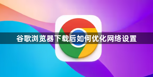 谷歌浏览器下载后如何优化网络设置1