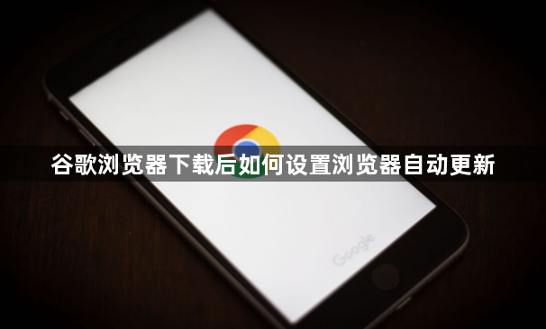 谷歌浏览器下载后如何设置浏览器自动更新1