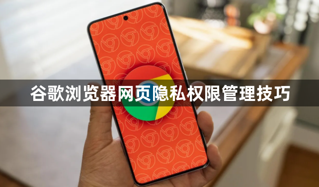 谷歌浏览器网页隐私权限管理技巧1
