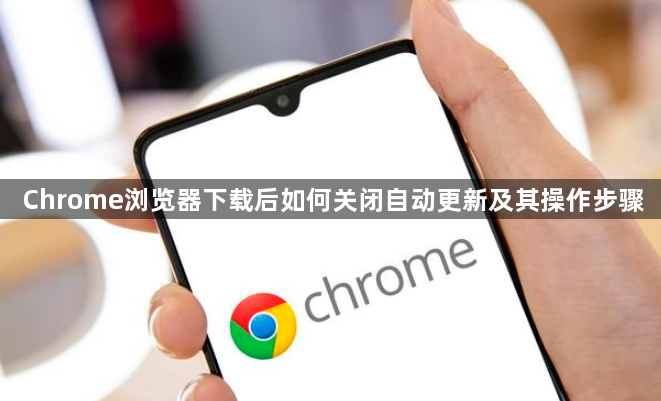 Chrome浏览器下载后如何关闭自动更新及其操作步骤1