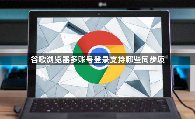 谷歌浏览器多账号登录支持哪些同步项1