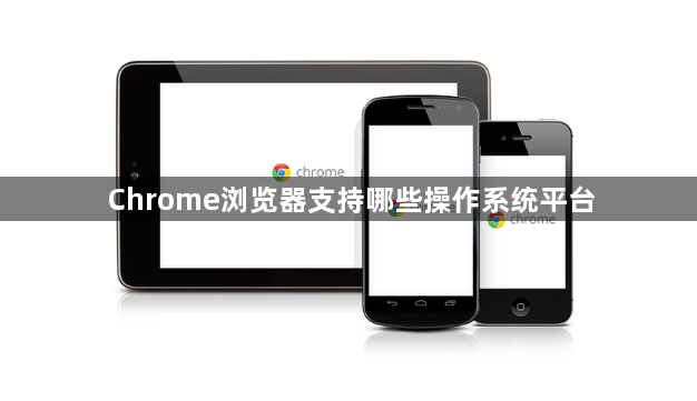 Chrome浏览器支持哪些操作系统平台1