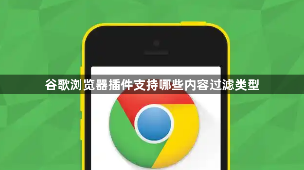 谷歌浏览器插件支持哪些内容过滤类型1