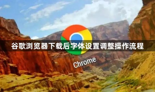 谷歌浏览器下载后字体设置调整操作流程1