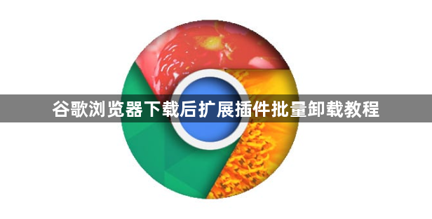 谷歌浏览器下载后扩展插件批量卸载教程1